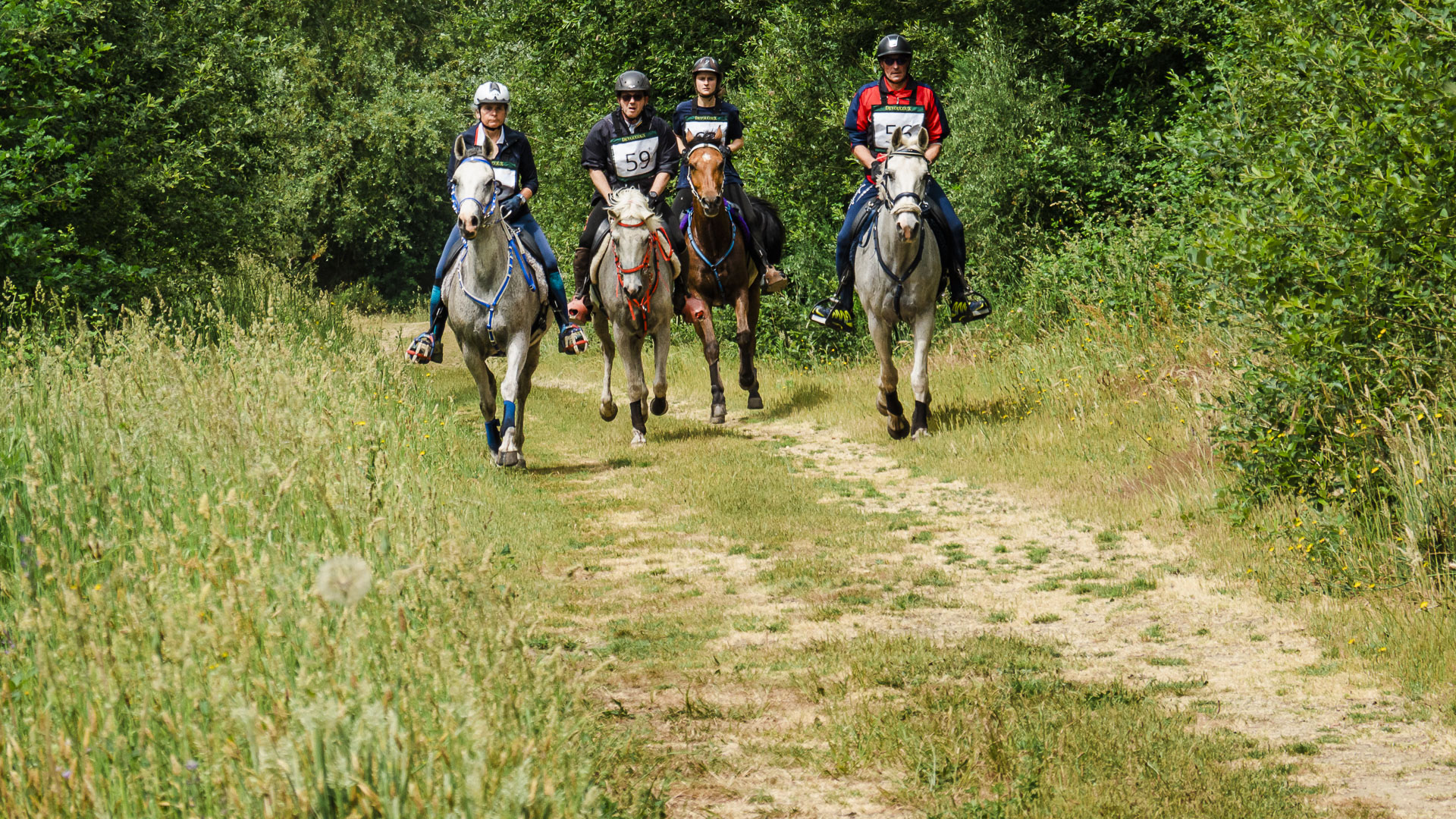 Tourisme équestre école d'endurance : photo de la course à Seiches-sur-Le-Loir,