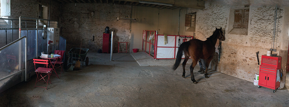 pension box paddock : photo de la salle de soins