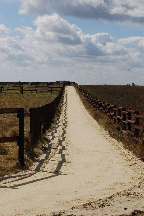 hébergement chevaux : photo des accès