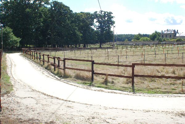 Hébergement cavaliers chevaux : pré