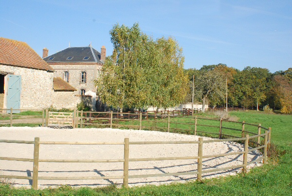 pension box paddock & hébergement chevaux : photo du manège