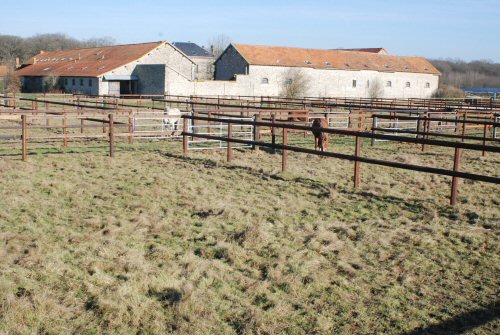 pension box paddock : photo du pré