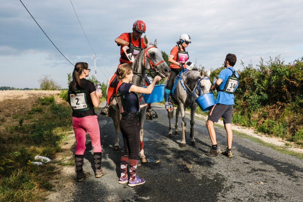 Tourisme équestre, stage d’endurance : course d'endurance équestre.