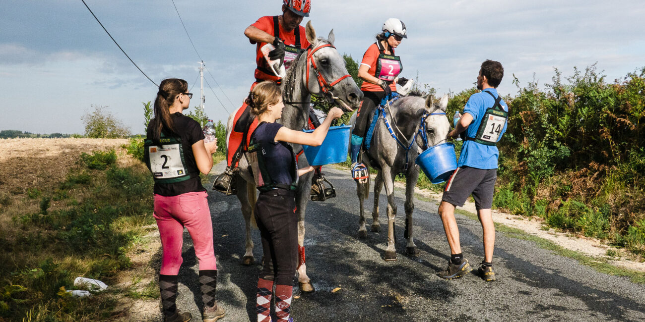 Tourisme équestre, stage d’endurance : course d'endurance équestre.